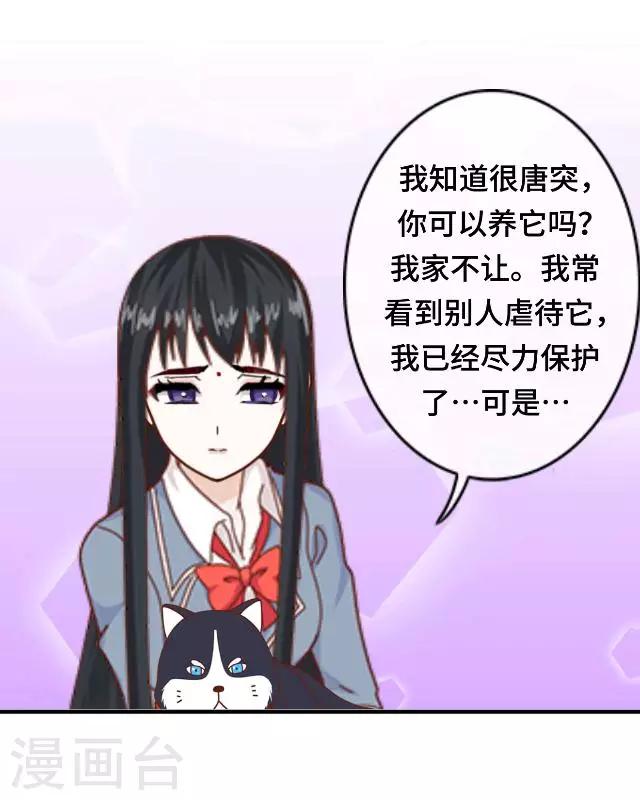 第10话 帮我养它好吗？-第12话