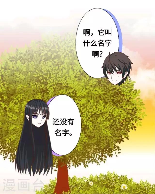 第10话 帮我养它好吗？-第12话