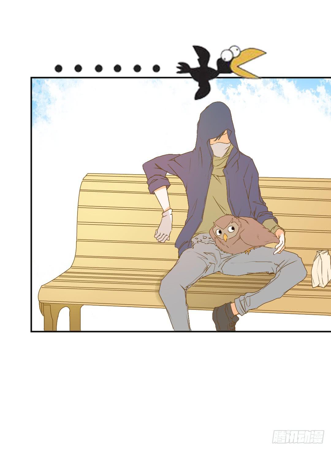 再次见面！(1/2)-第20话