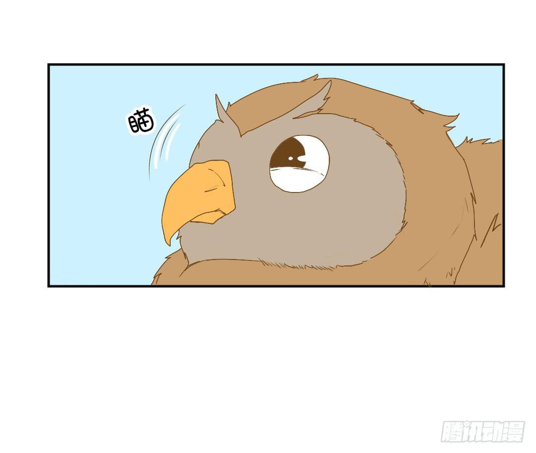 再次见面！(1/2)-第20话