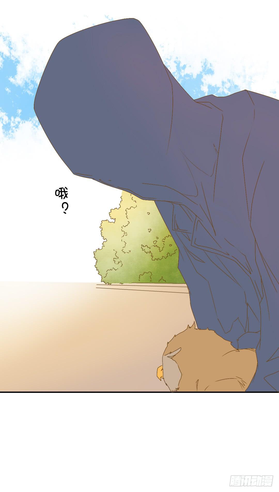 再次见面！(1/2)-第20话