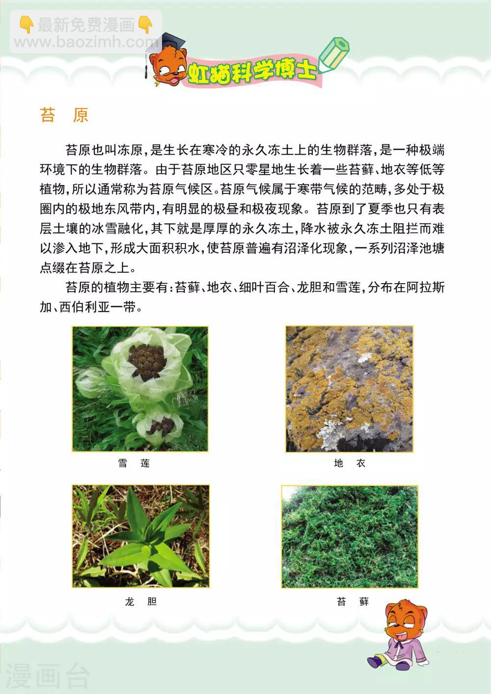 第4话 深入沼泽-第4话