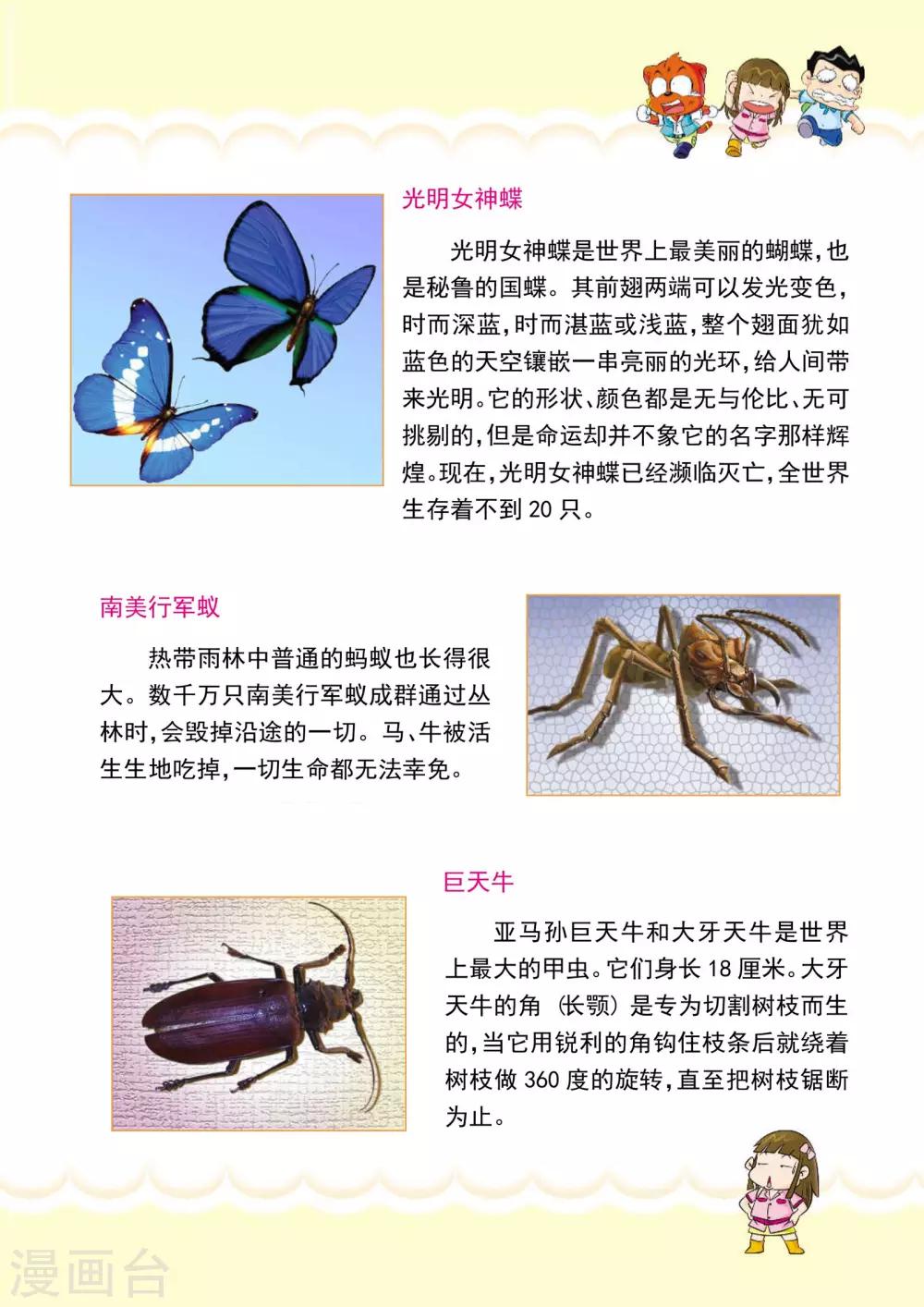 第10话 昆虫特攻队-第10话