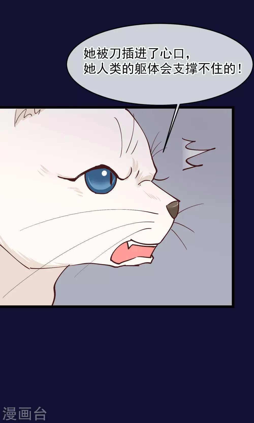 第27话 一起下地狱吧(1/2)-第28话