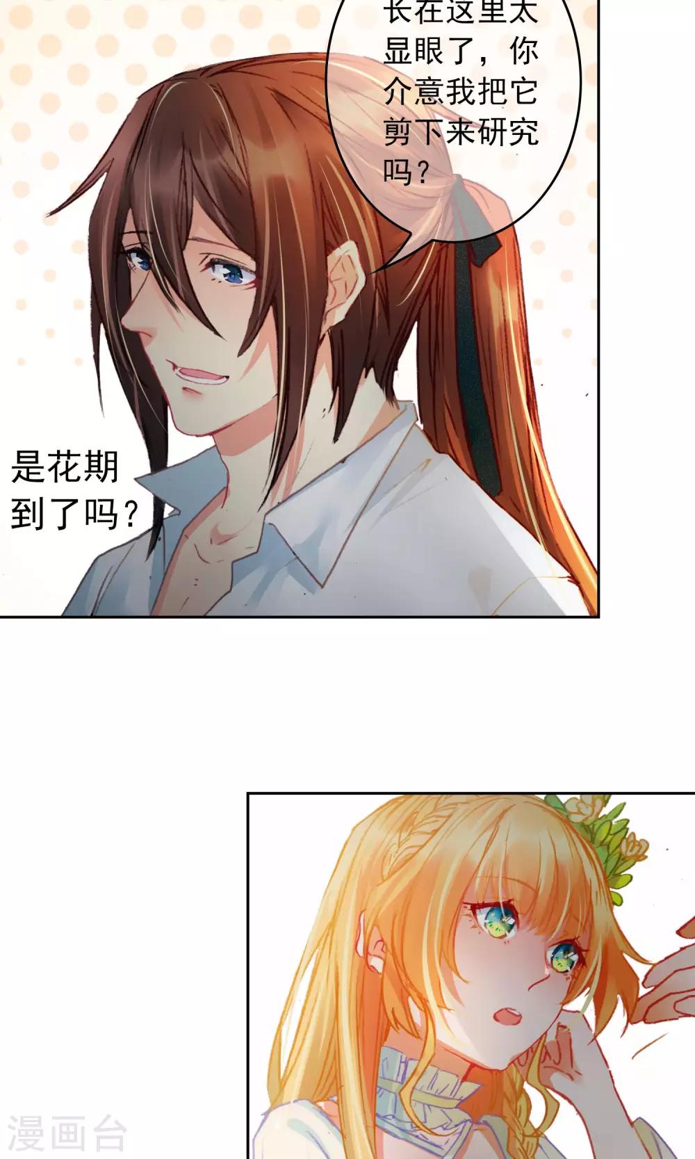 第11话 小小艾莉丝-第12话