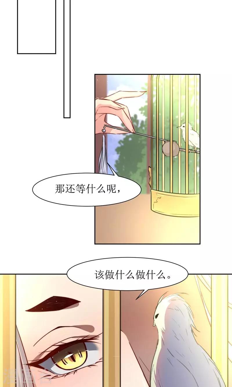 第36话 小皇子出生8