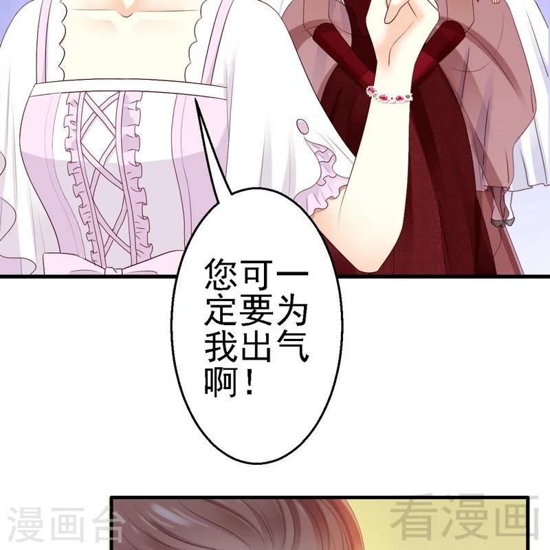 第14话殿下要亲吻其他女人的手吗？-第14话