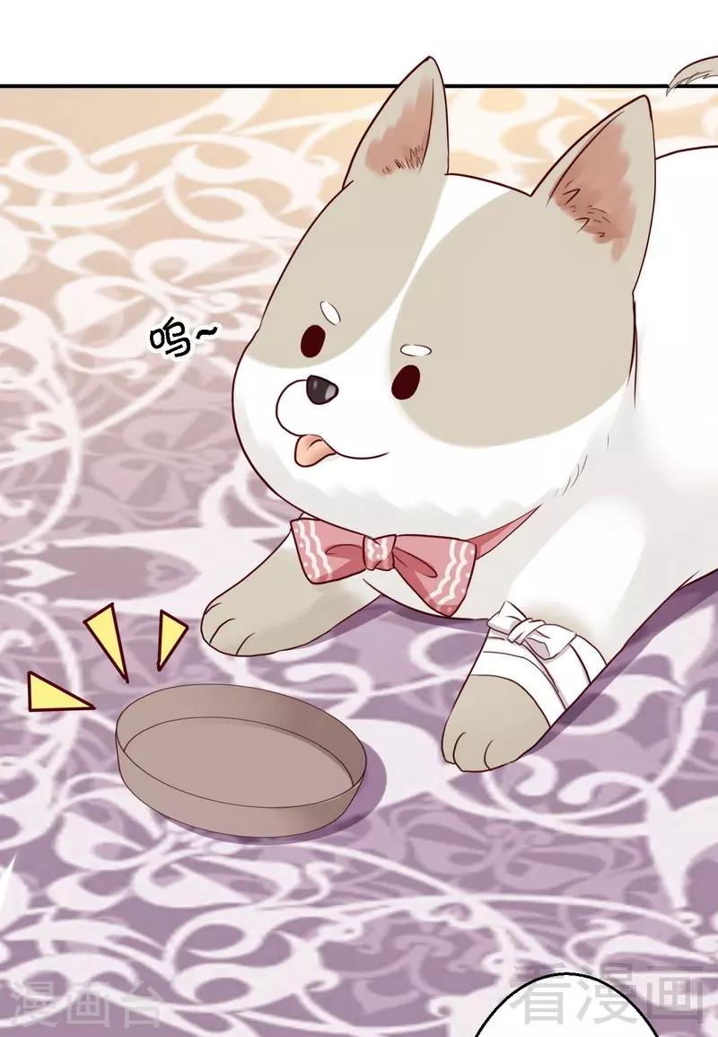 第28话坎贝尔庄园的霸道小姐-第28话