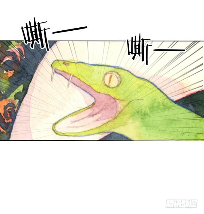 第2话(1/2)-第2话