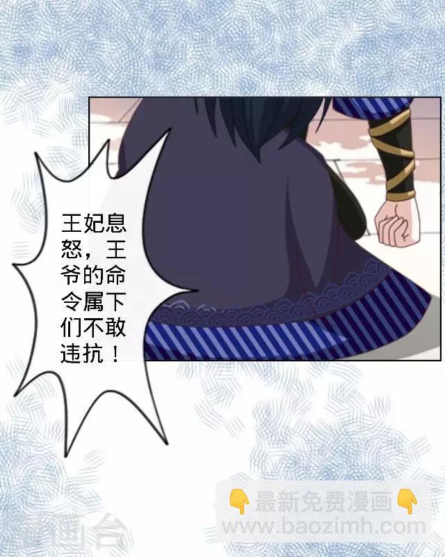 第22话 王妃遇刺(1/2)-第22话