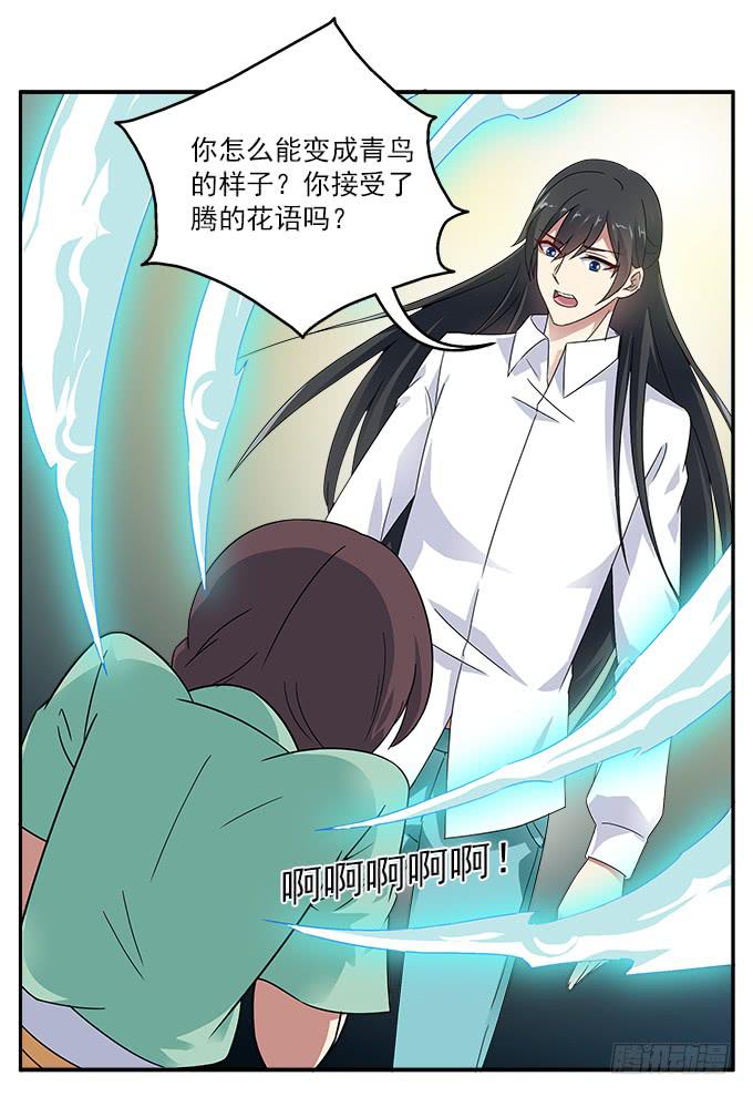 【白玫瑰4】镜子中的美丽-第14话