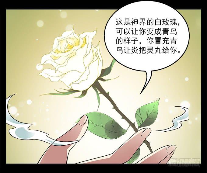 花語心願 - 【白玫瑰4】鏡子中的美麗 - 3
