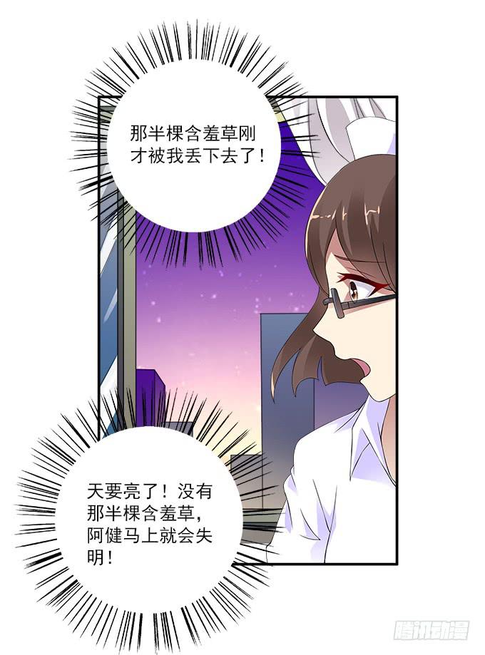 【含羞草2】-第40话