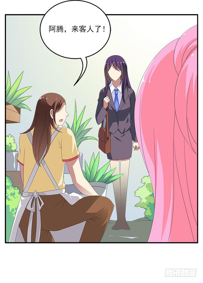 紫藤花店-第66话