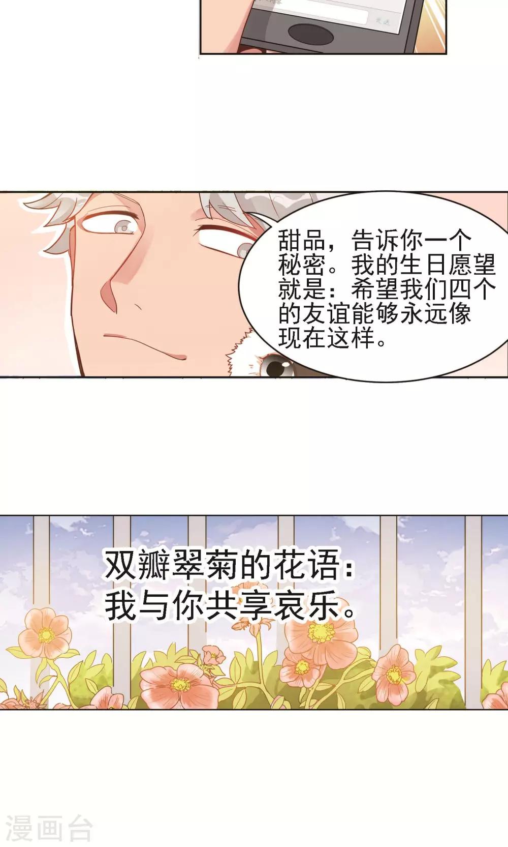 第11话 双瓣翠菊的花语-第12话