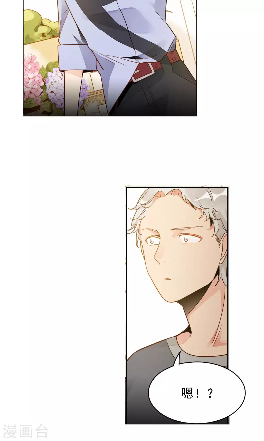 第11话 双瓣翠菊的花语-第12话