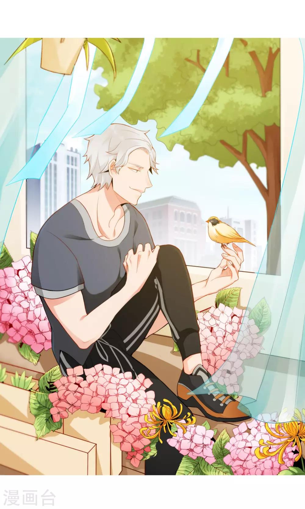 第23话 滨菊的花语-第24话