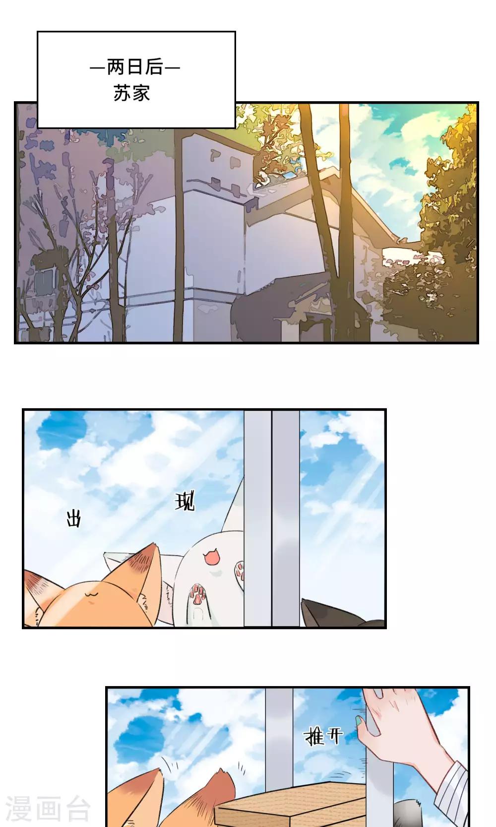 第23话 你比玫瑰更美丽-第24话