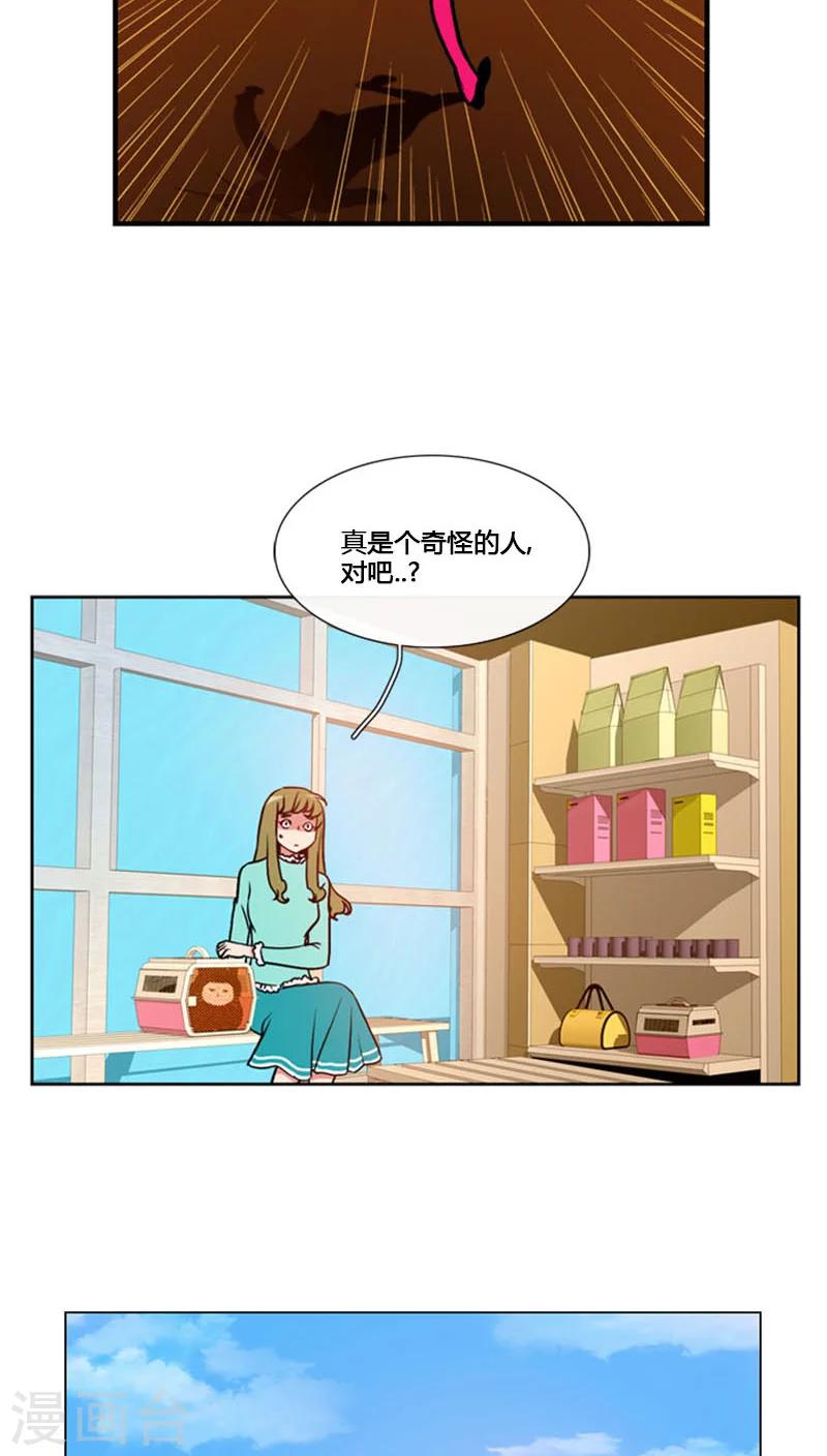 第78话-第78话