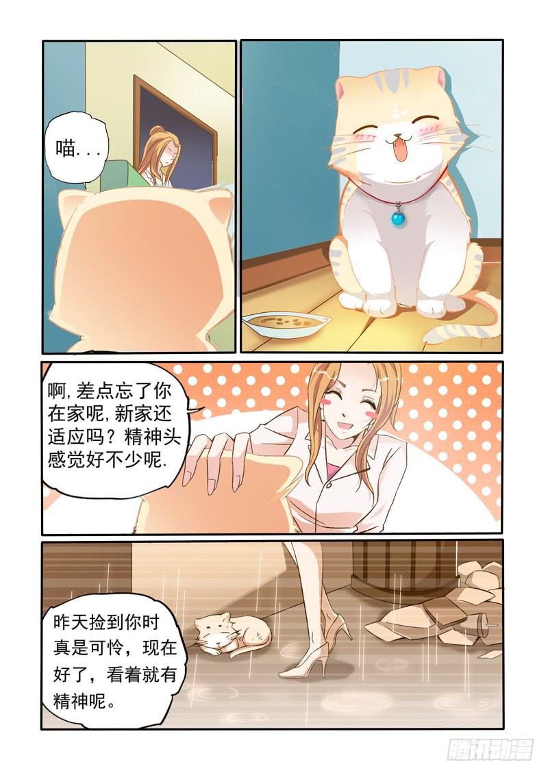 带去做绝育？-第2话