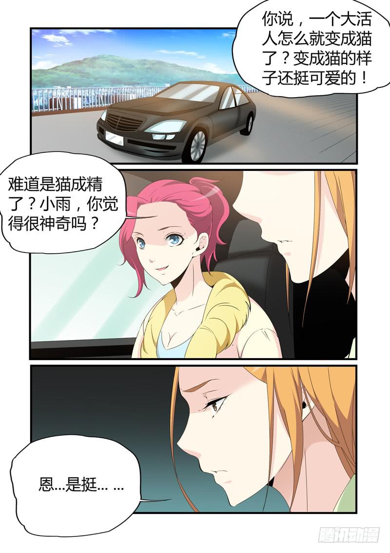 撿個肥貓變御貓 - 發現真身 - 1