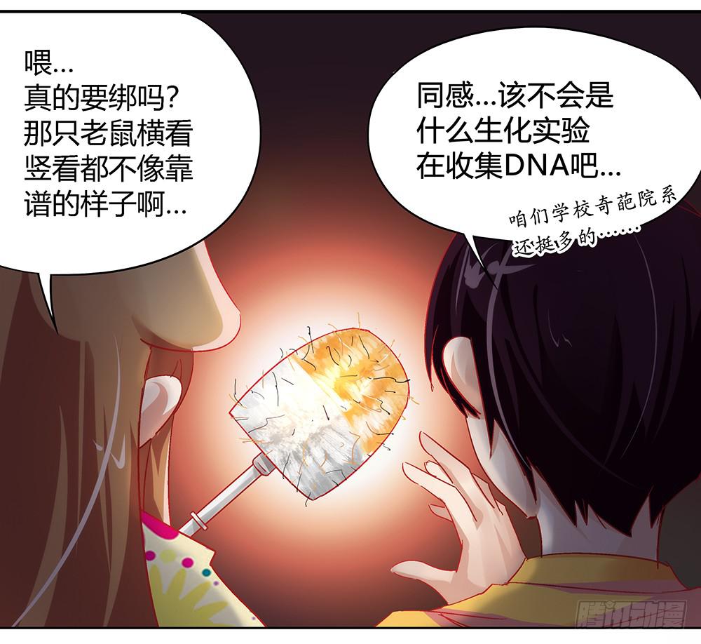 交彗之日 - 閃閃放光彩(1/3) - 3
