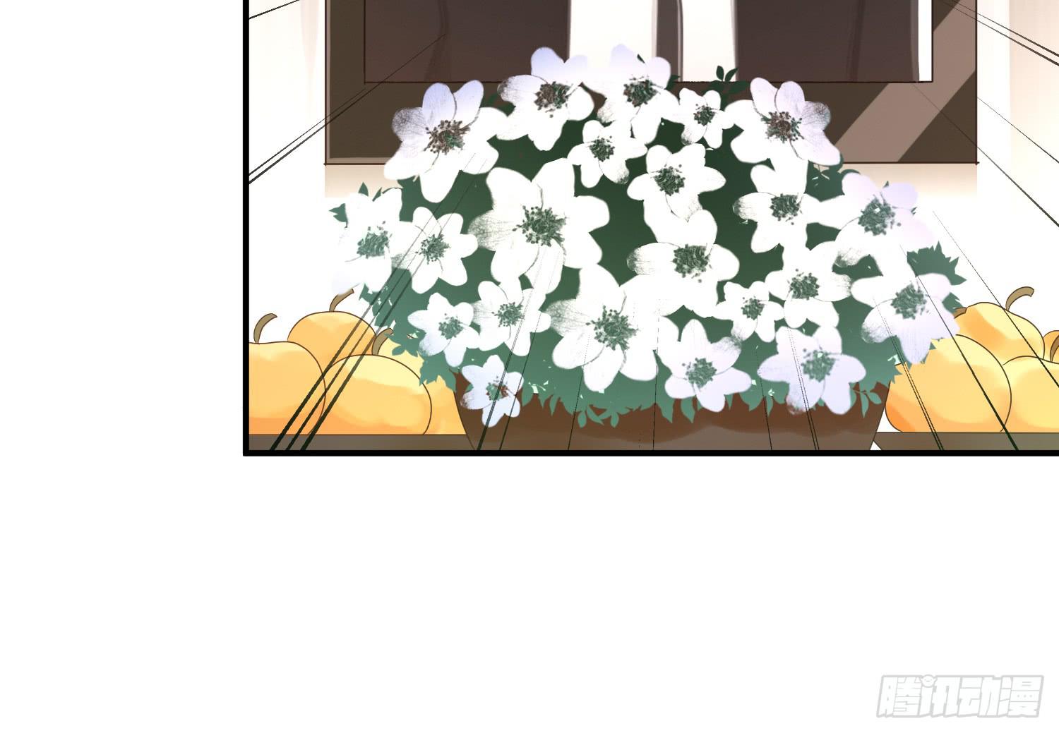 追思会2-第100话