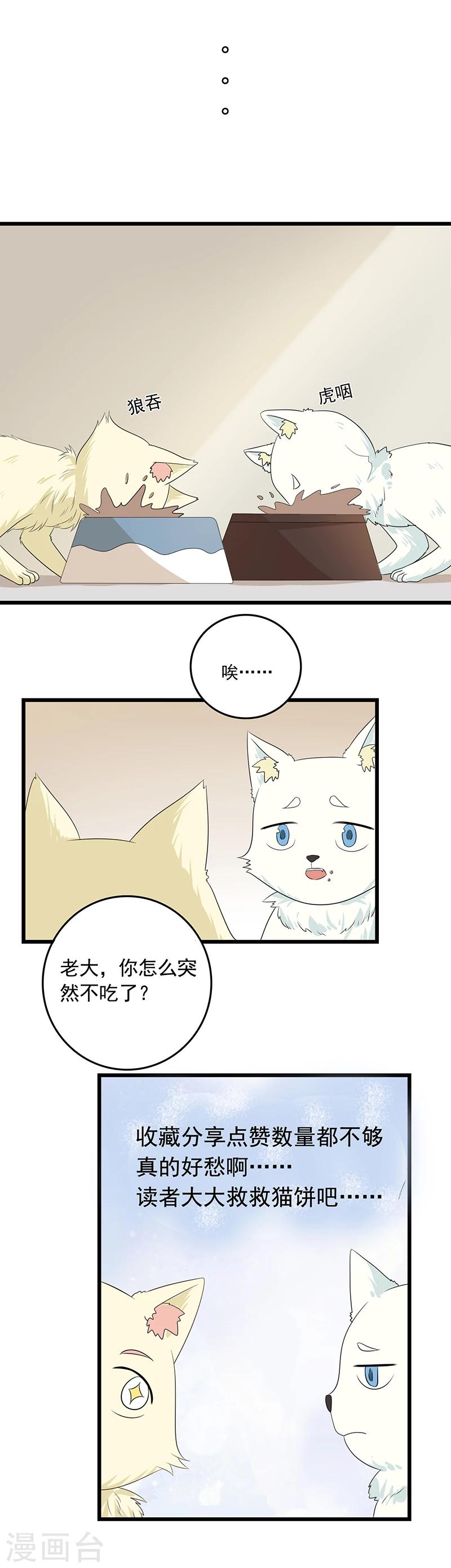 第11话 谁动了电脑？-第12话