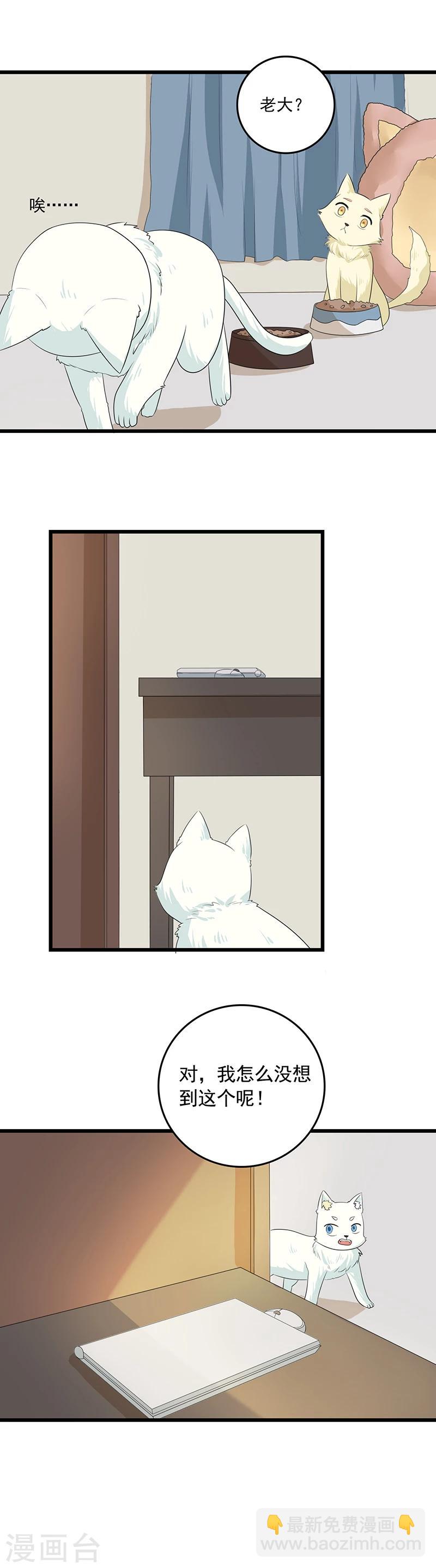 第11话 谁动了电脑？-第12话