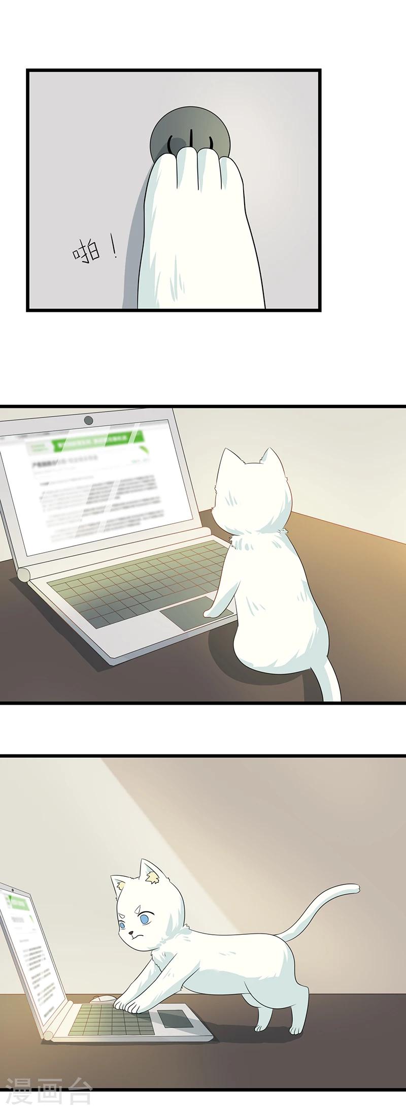 第11话 谁动了电脑？-第12话