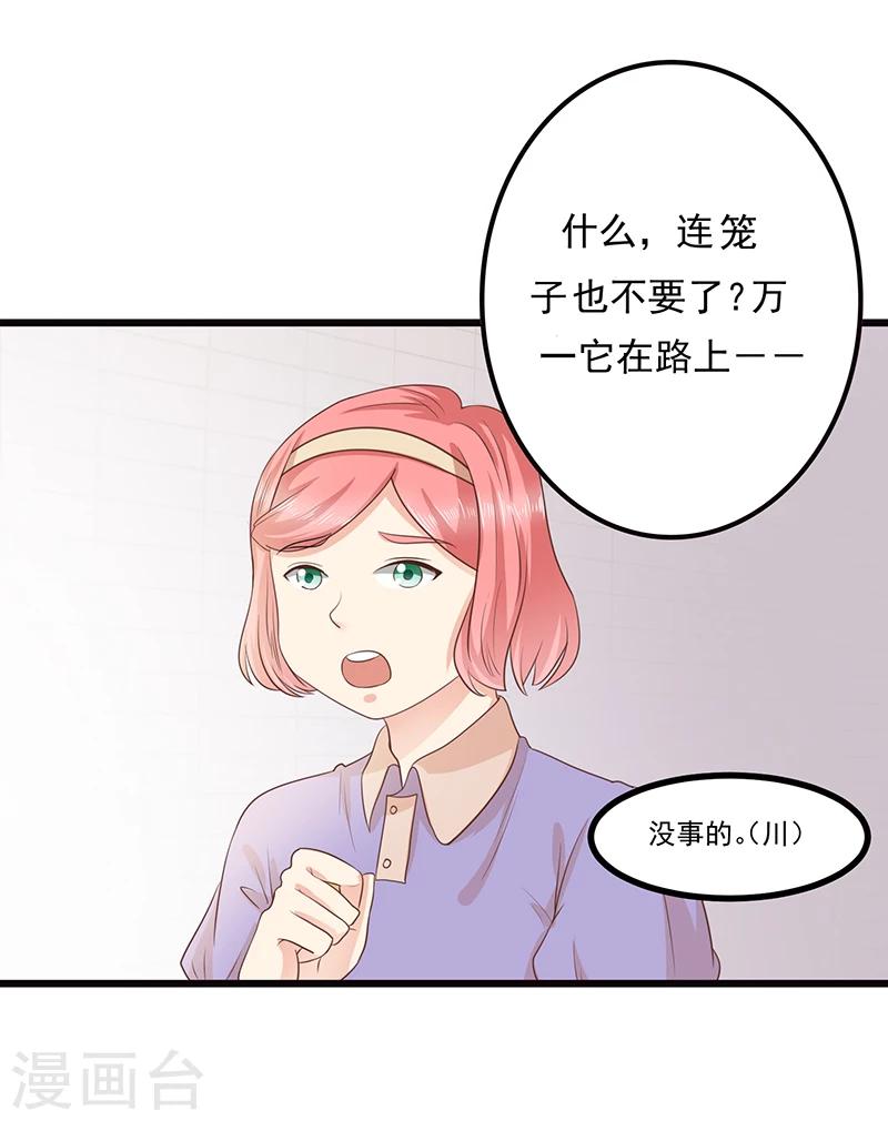 第3话 放开这只小猫咪-第4话