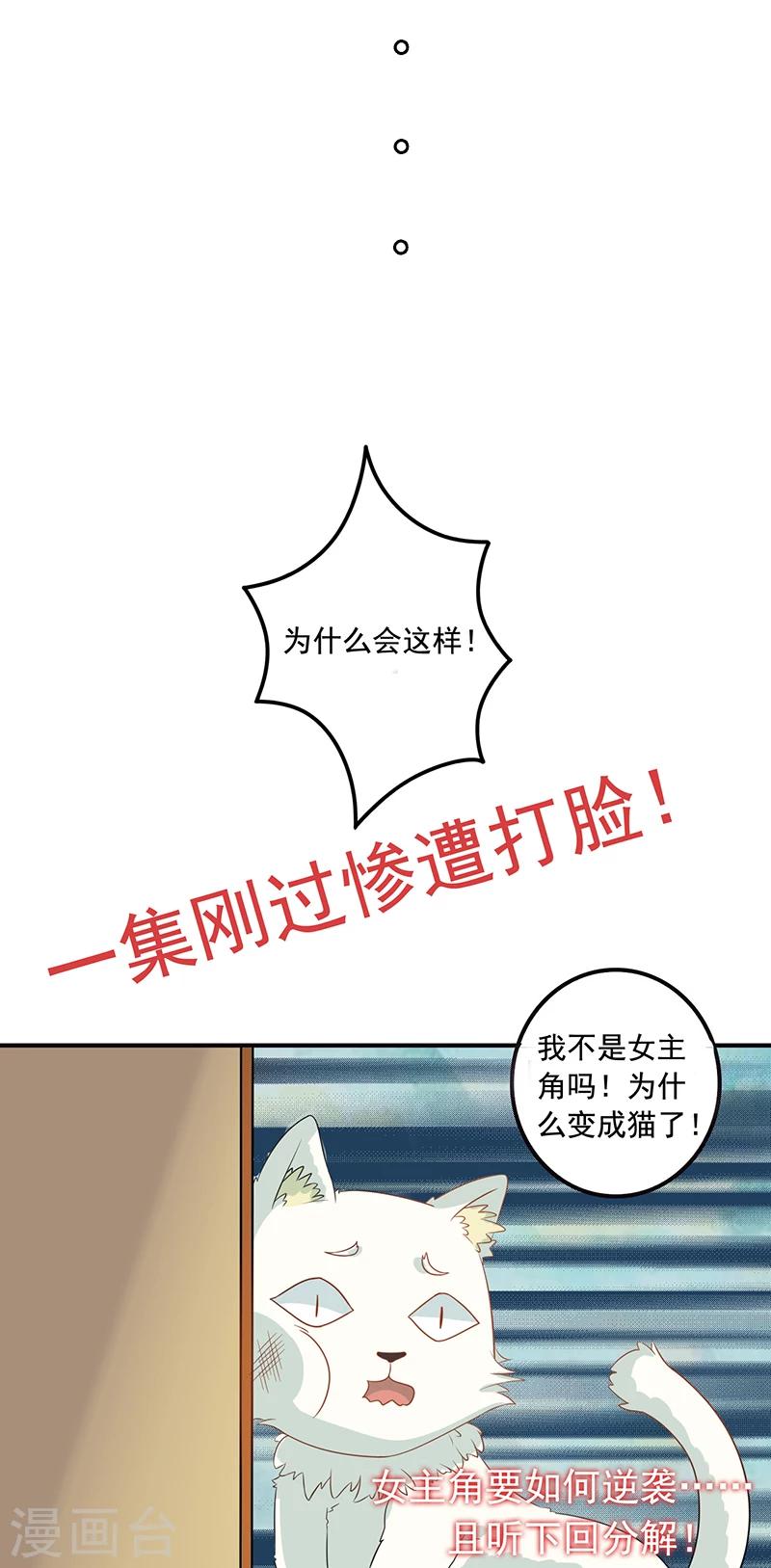 第3话 放开这只小猫咪-第4话