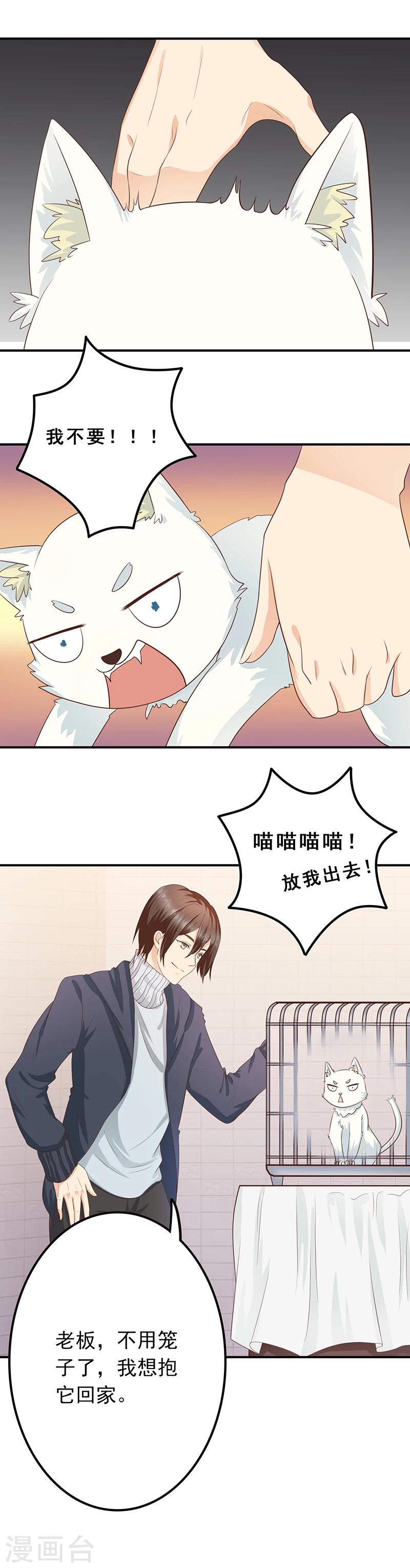 第3话 放开这只小猫咪-第4话