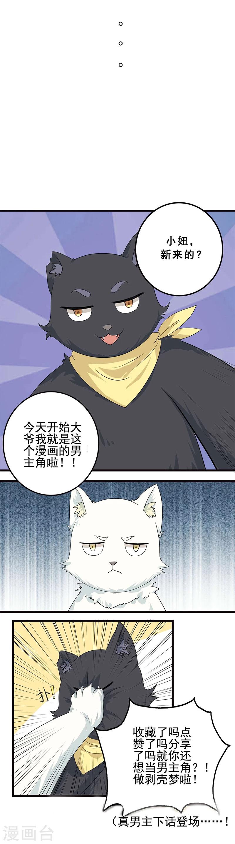 第5话 做一只猫好累-第6话