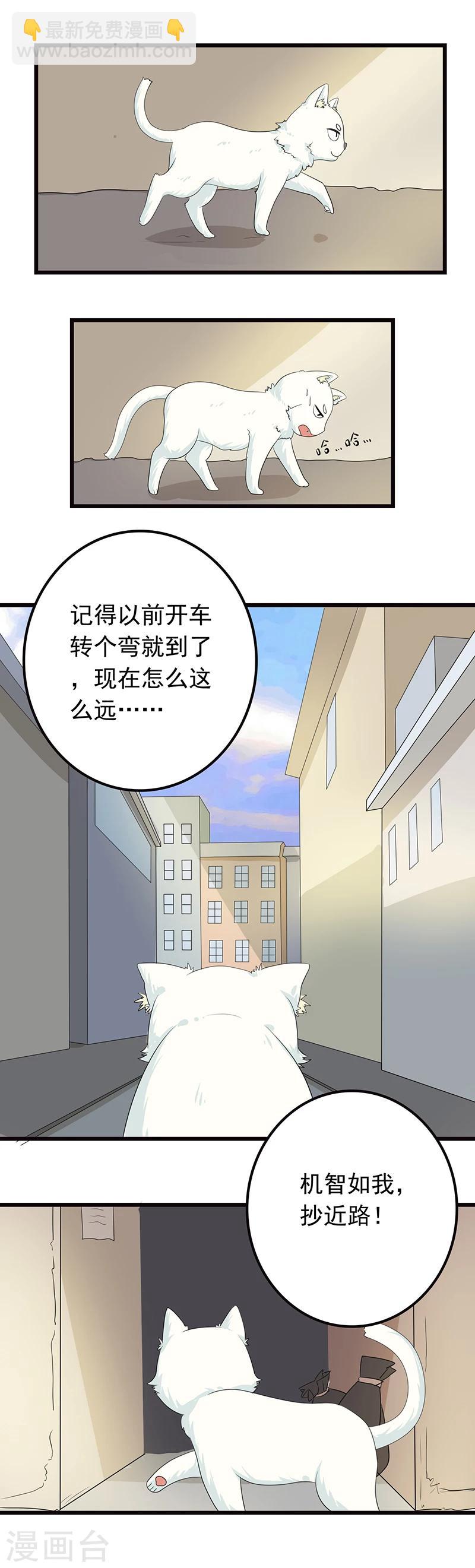 第5话 做一只猫好累-第6话