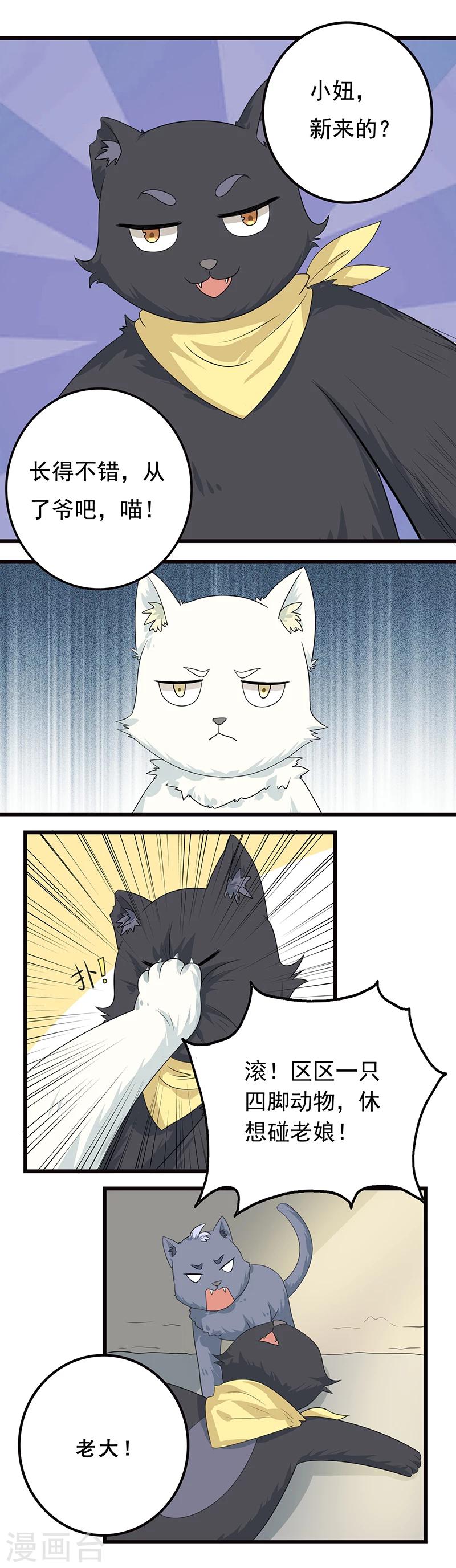 第5话 做一只猫好累-第6话