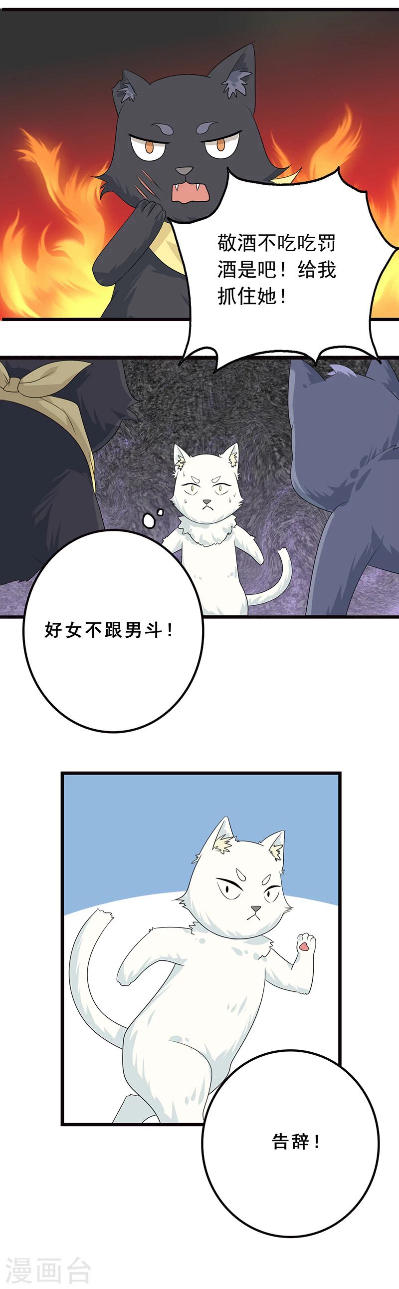 第5话 做一只猫好累-第6话