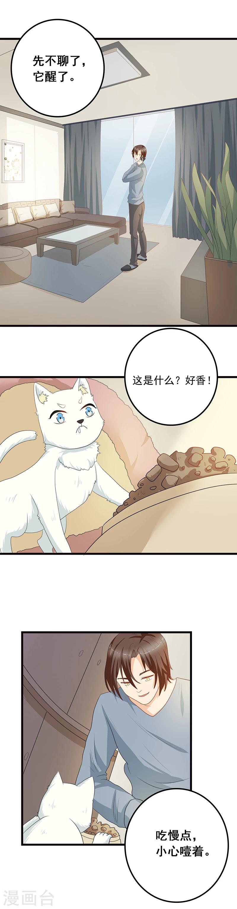 第7话 猫粮？真香-第8话