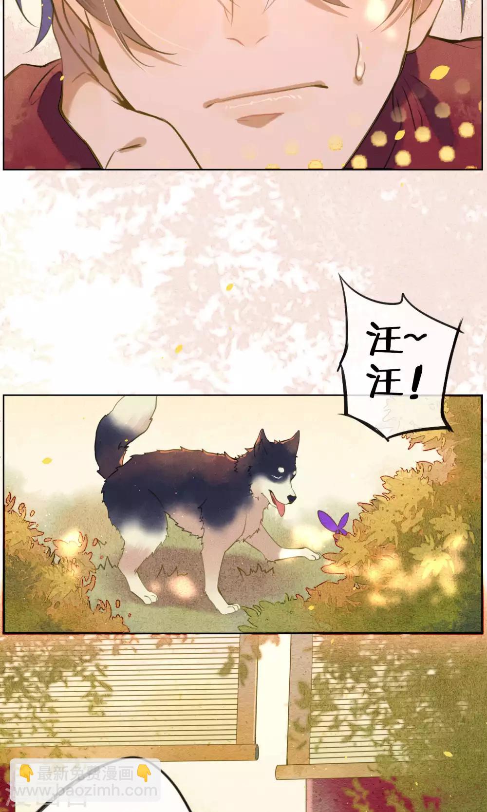 第43话 不同寻常的阿图-第48话