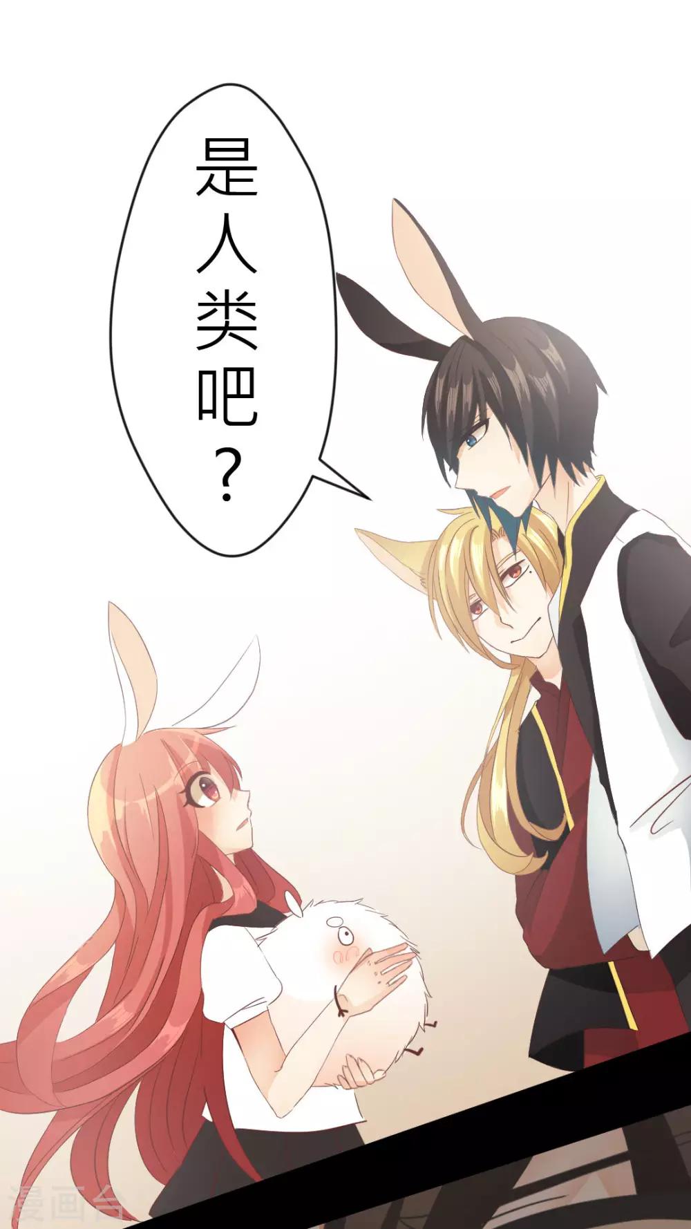 第4话 阴影下的不信任-第4话