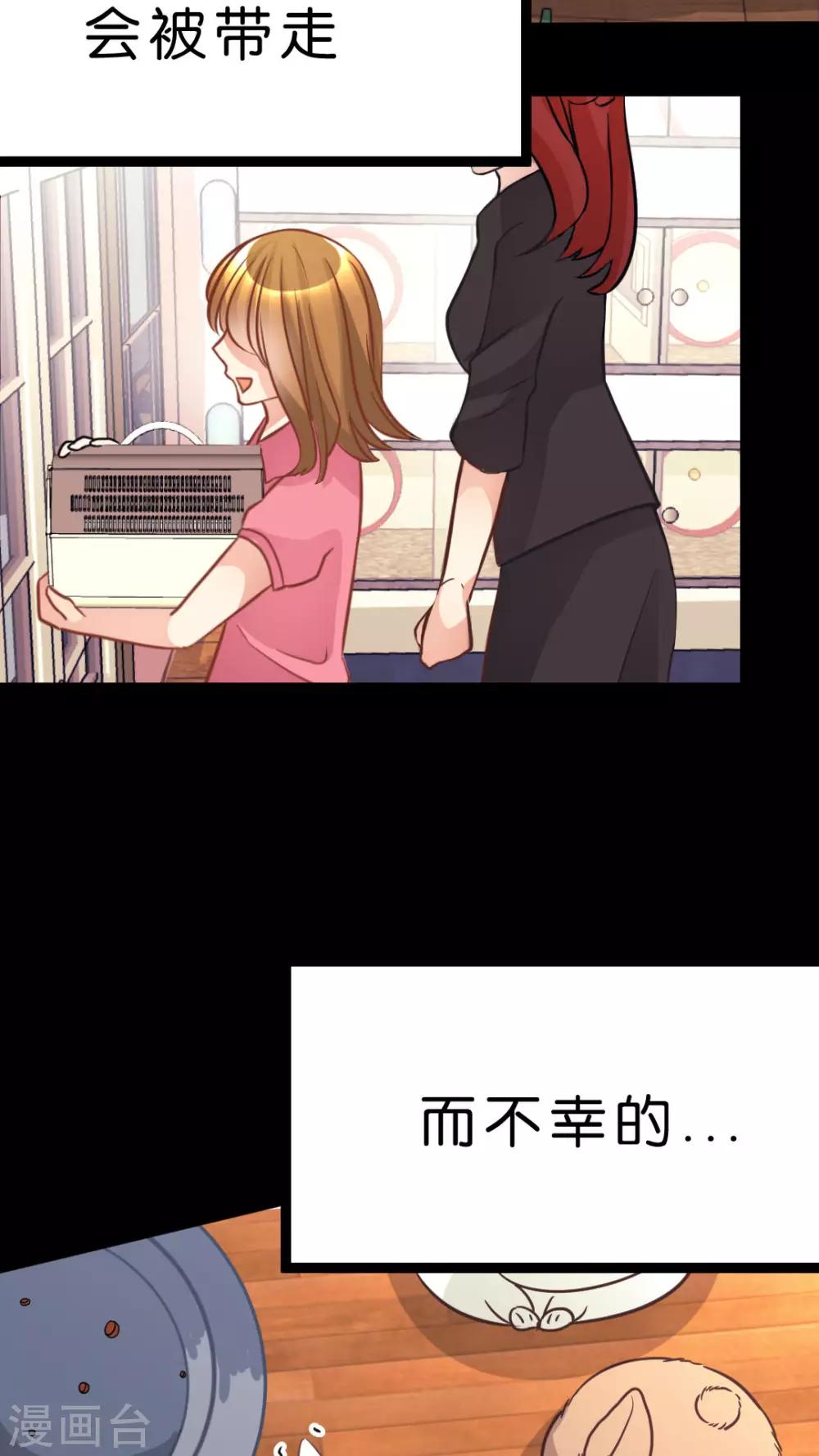 第34话 关于这只兔子的过去（1）-第36话