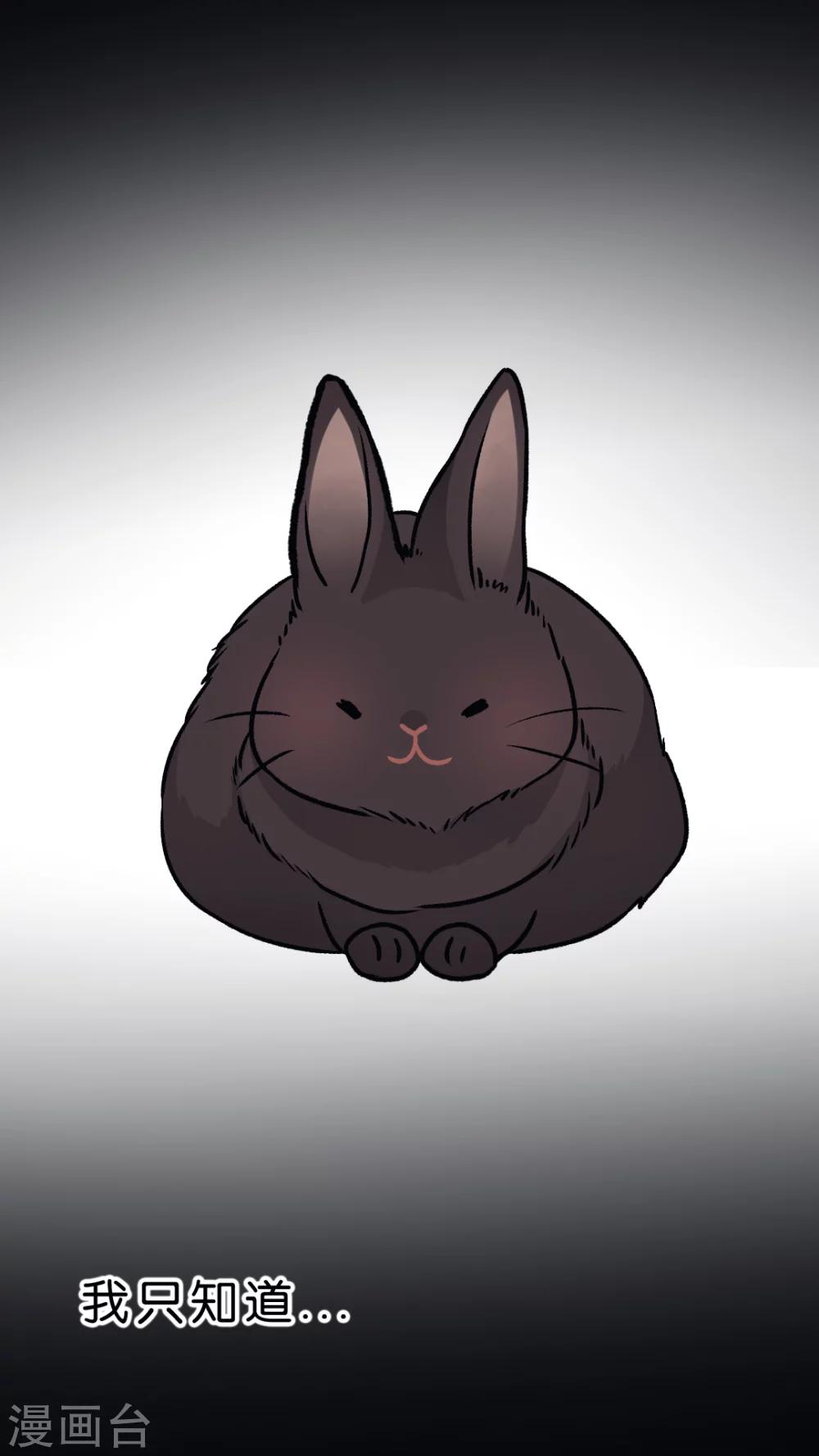 第34话 关于这只兔子的过去（1）-第36话