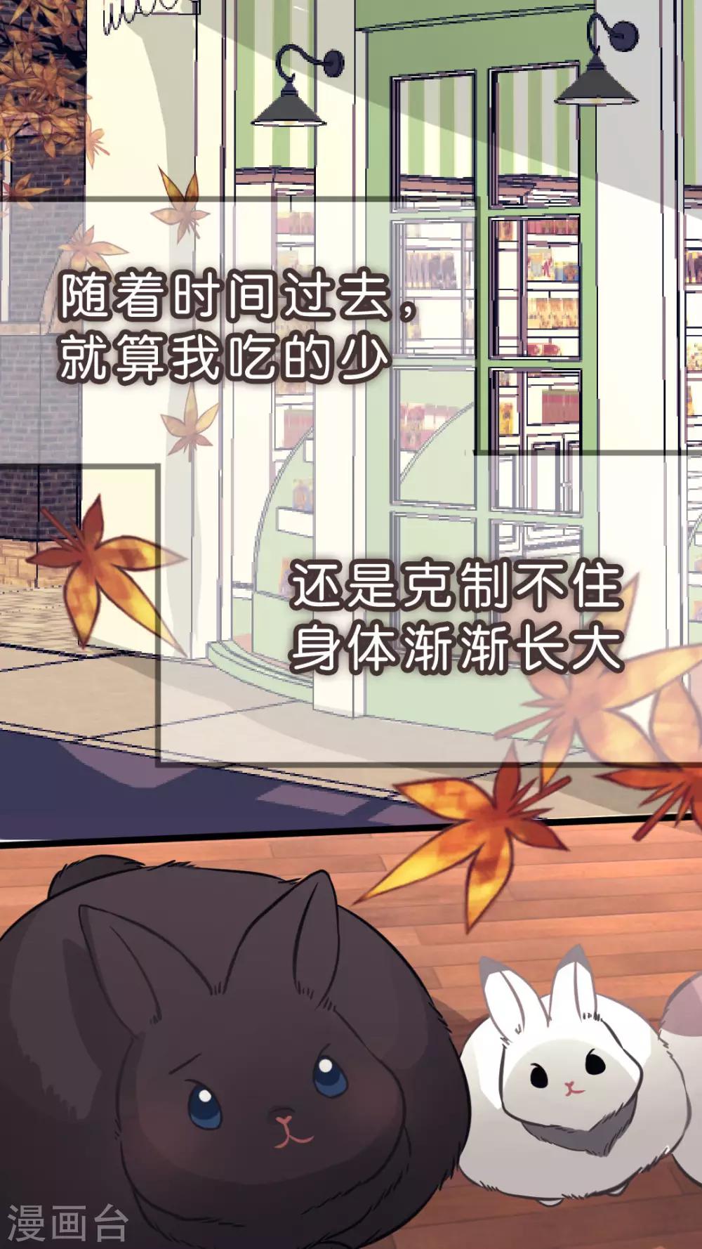 第34话 关于这只兔子的过去（1）-第36话