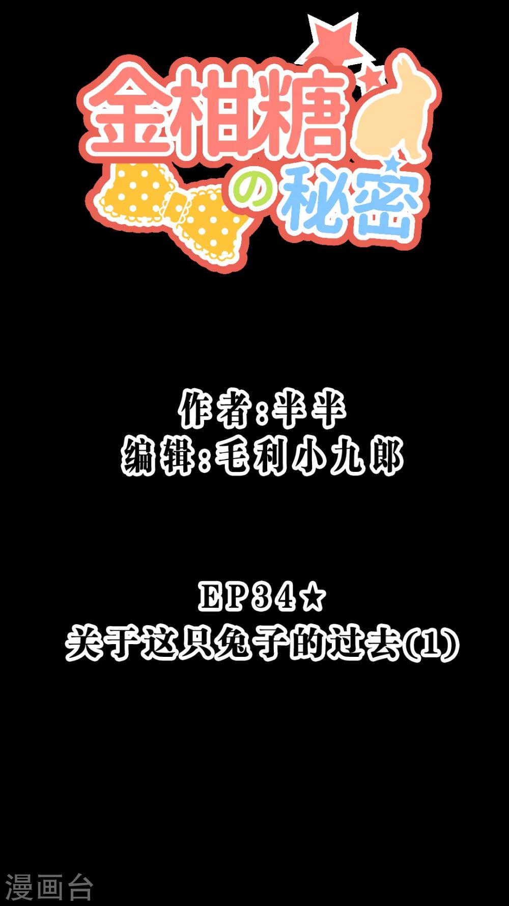 第34话 关于这只兔子的过去（1）-第36话