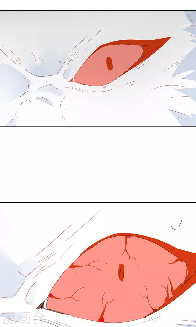 第34话(1/2)-第34话