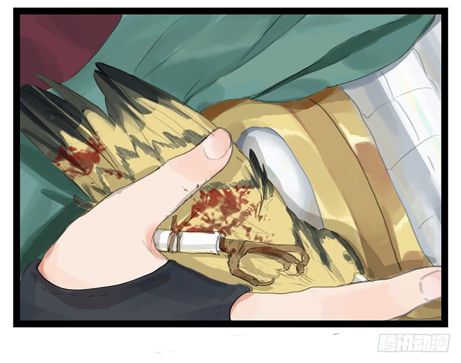 第六话 衣锦还乡(1/2)-第6话