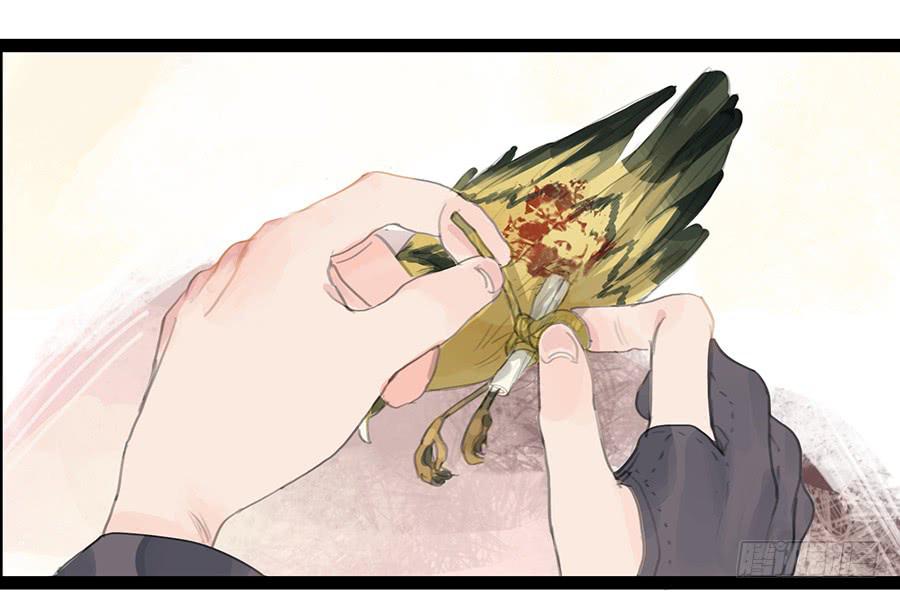 第六话 衣锦还乡(1/2)-第6话