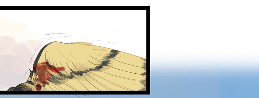 第六话 衣锦还乡(1/2)-第6话