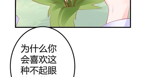 离去的背影(1/3)-第42话