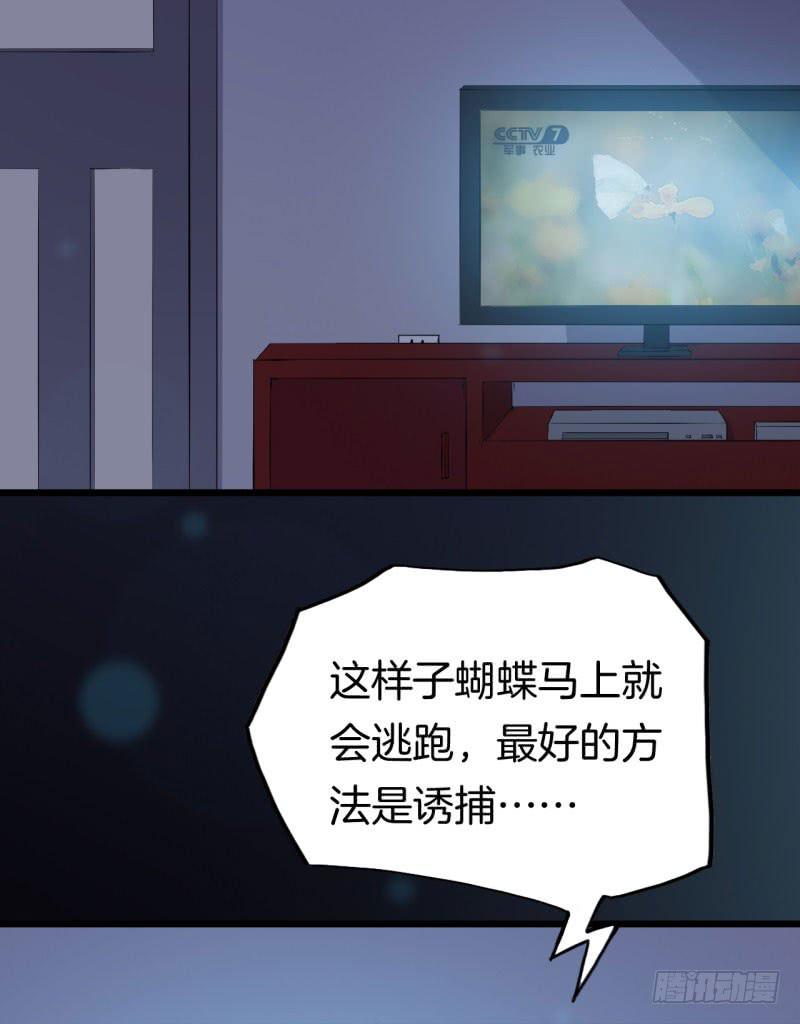 032捕猎（四）-第36话